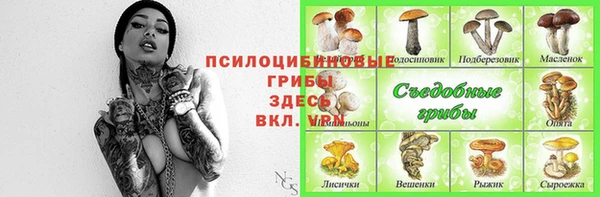 прущая мука Аркадак