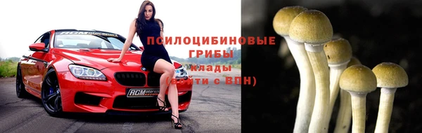 гашик Армянск