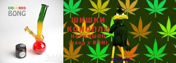 mdpv Арсеньев