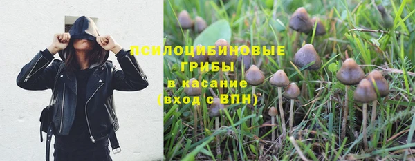mdpv Арсеньев