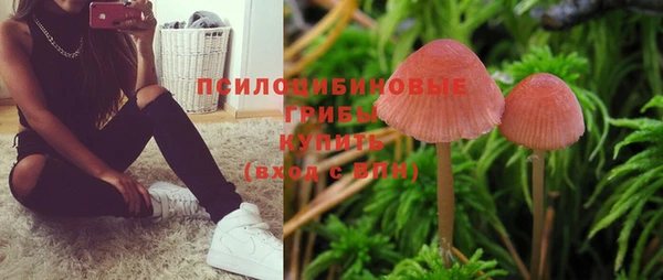 гашик Армянск