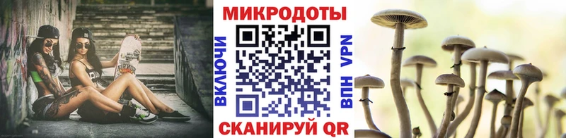 Псилоцибиновые грибы Cubensis  Мензелинск 